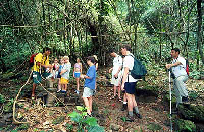 Hike with guide in Costa Rica.