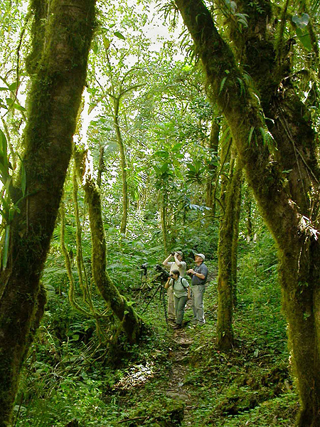 Hiking a trail near Savegre Lodge in Costa Rica.