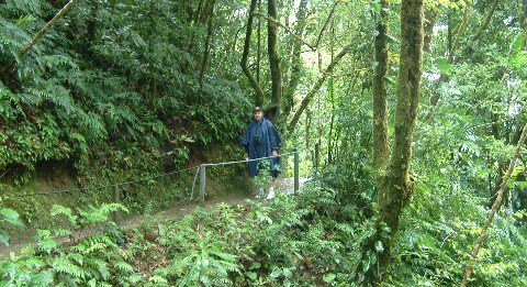Bill Hatch walking the Hanging Bridges trails in Arenal, Costa Rica.