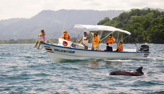 Dolphin tour on the south Pacific coast of Costa Rica.