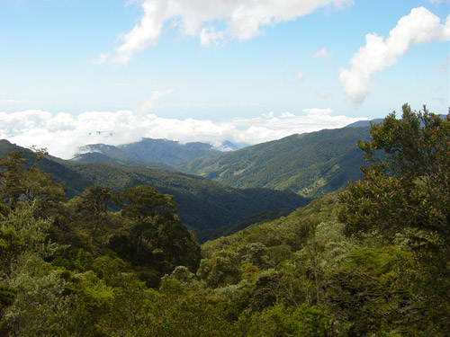 Cerro de la Muerte pass in Costa Rica.