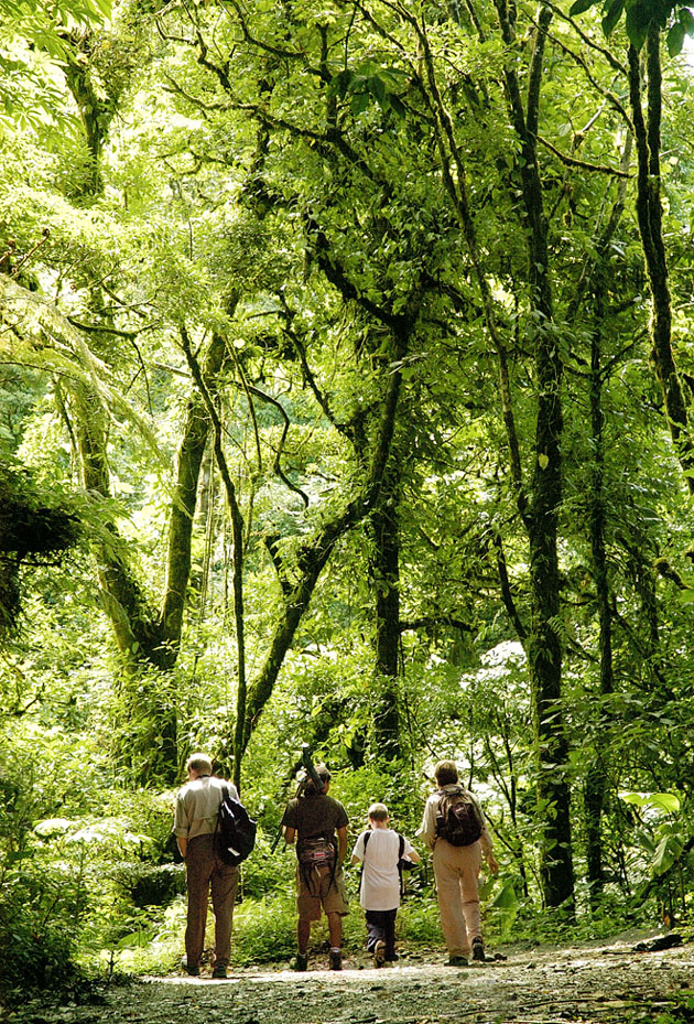 Family hiking in Monteverde, Costa Rica.