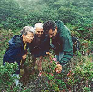 Nature tour by Costa Rica Expeditions.