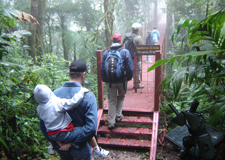 Monteverde Reserve