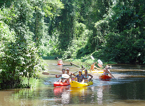 Kayaking tour in Tortuguero National Park.