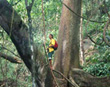 Guide Esteban Ericksen