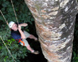 Tree platform ascent