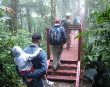 Hiking in Monteverde