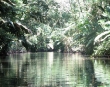 Creek