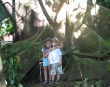 Kids and big tree