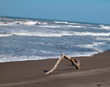 Tortuguero Beach