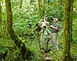 Savegre hike