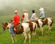 Horseback tour