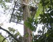 Corcovado Platform