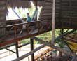 Hammock House