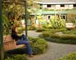 Monteverde gardens