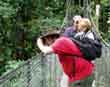 Arenal Hanging Bridges