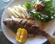 Sea bass at Corcovado