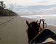 Horsecart in Corcovado