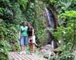 Rainforest walk