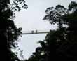 Arenal Hanging Bridges