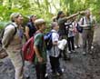 Monteverde hike