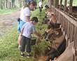 Don Carlos farm Arenal