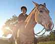 Horsing around