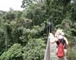 Arenal Hanging Bridges