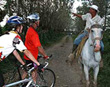 Biking at Arenal