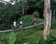 Bridge over San Carlos