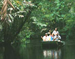 Rainforest boat tour