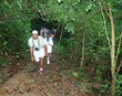 Corcovado Loop Trail