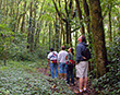 Cloud forest hike