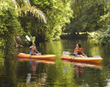 Kayaking in Tortuguero