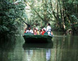 Tortuguero Natl. Park