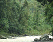 Pacuare River Canyon