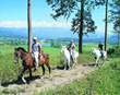 Horseback riding