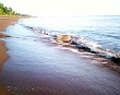 Back to the sea