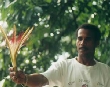Jungle flower