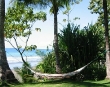Lonely hammock