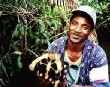Turtle & Franklin