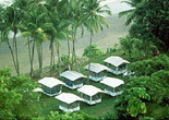 Corcovado Lodge Costa Rica Expeditions