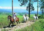 Horseback Riding Costa Rica Expeditions