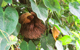 Costa Rica Expeditions