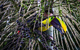 Costa Rica Expeditions