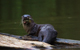 Costa Rica Expeditions