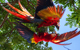 Costa Rica Expeditions