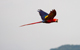 Costa Rica Expeditions