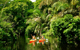 Costa Rica Expeditions